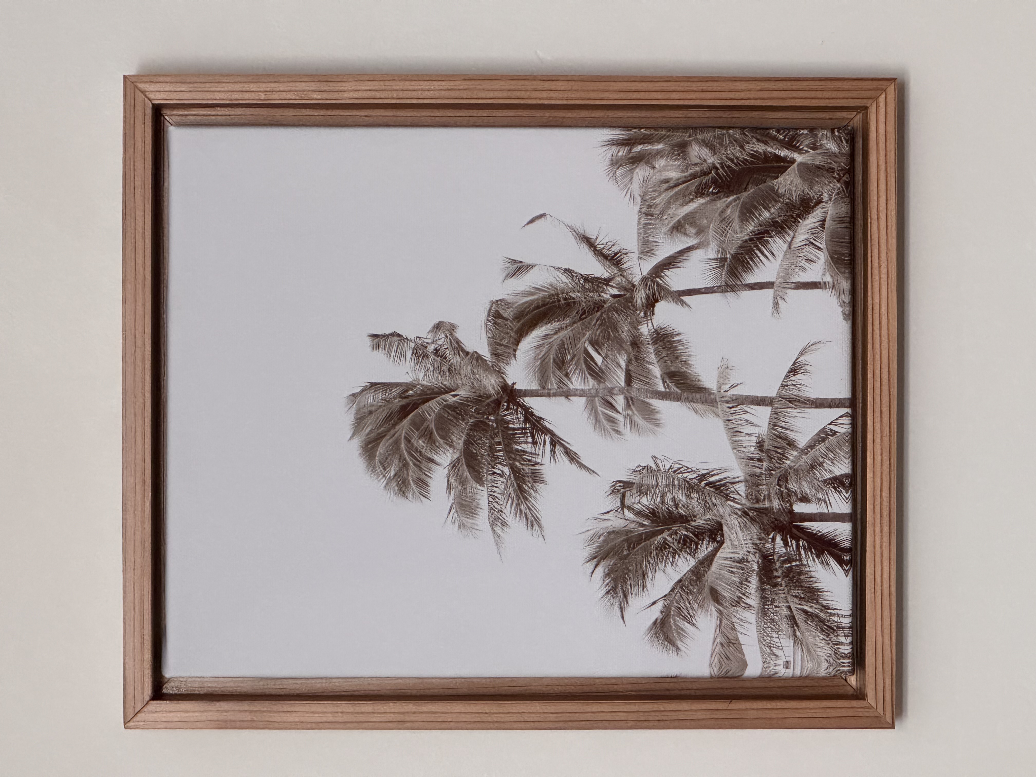 Photo/art paper frame — cedar finish with palm print